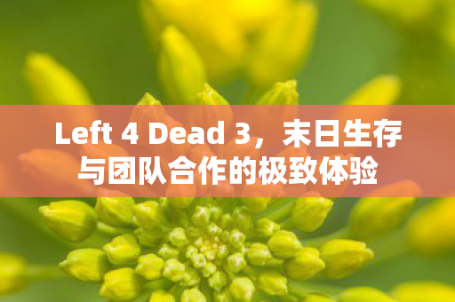 Left 4 Dead 3，末日生存与团队合作的极致体验