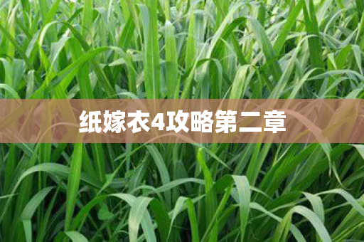 纸嫁衣4攻略第二章