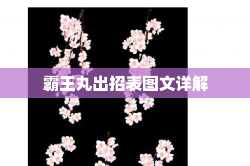 霸王丸出招表图文详解
