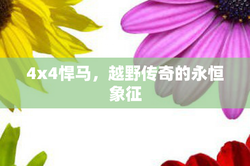 越野传奇的永恒象征图片