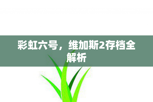 彩虹六号，维加斯2存档全解析