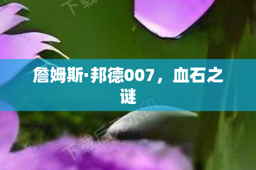 詹姆斯·邦德007，血石之谜