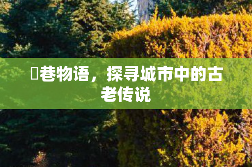 鹮巷物语，探寻城市中的古老传说