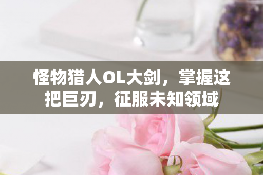 怪物猎人OL大剑图片