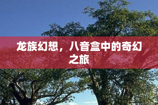 八音盒中的奇幻之旅图片