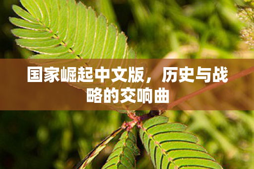 国家崛起中文版，历史与战略的交响曲
