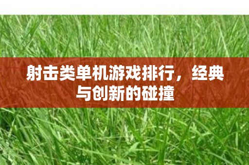 射击类单机游戏排行，经典与创新的碰撞