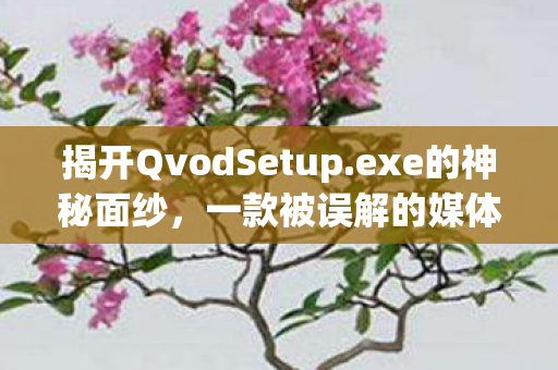 揭开QvodSetup.exe的神秘面纱，一款被误解的媒体播放工具