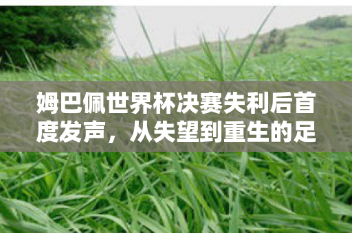 姆巴佩世界杯决赛失利后首度发声图片