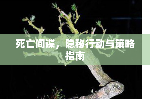 死亡间谍，隐秘行动与策略指南