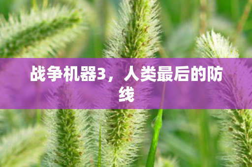 战争机器3，人类最后的防线
