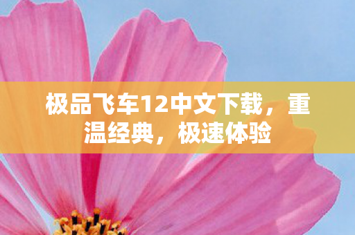 极品飞车12中文下载，重温经典，极速体验