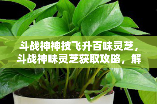 斗战神神技飞升百味灵芝，斗战神味灵芝获取攻略，解锁神秘宝藏的钥匙