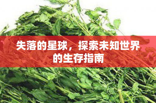失落的星球，探索未知世界的生存指南