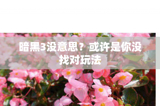 暗黑3没意思？或许是你没找对玩法