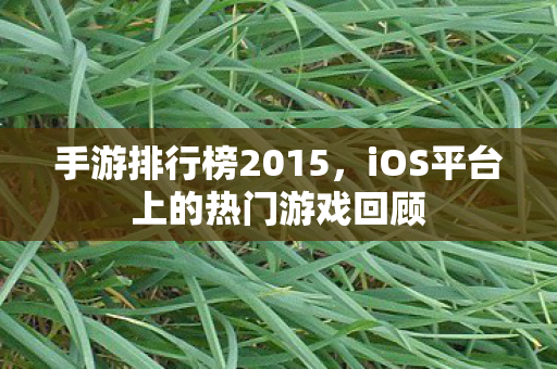 手游排行榜2015，iOS平台上的热门游戏回顾
