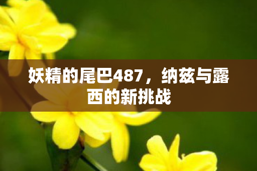 妖精的尾巴487，纳兹与露西的新挑战