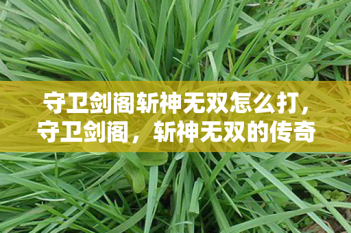 守卫剑阁斩神无双怎么打，守卫剑阁，斩神无双的传奇之旅