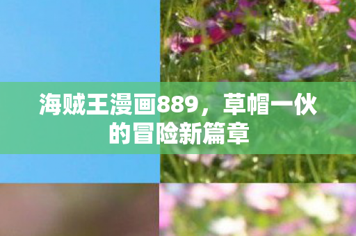 草帽一伙的冒险新篇章图片