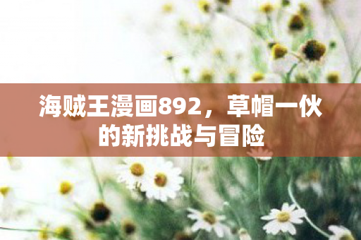 草帽一伙的新挑战与冒险图片