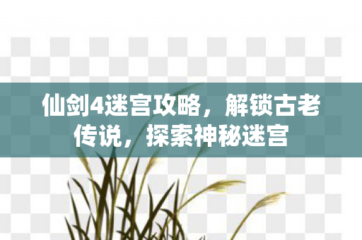 仙剑4迷宫攻略，解锁古老传说，探索神秘迷宫