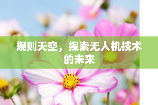 探索无人机技术的未来图片