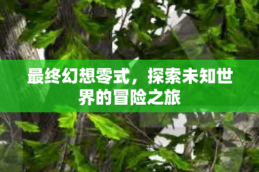 最终幻想零式，探索未知世界的冒险之旅