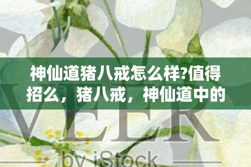 神仙道猪八戒怎么样?值得招么，猪八戒，神仙道中的吃货与情种