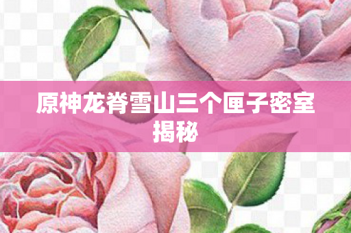 原神龙脊雪山三个匣子密室揭秘