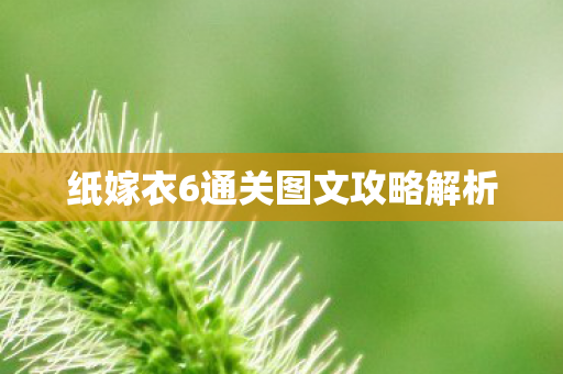 纸嫁衣6通关图文攻略解析