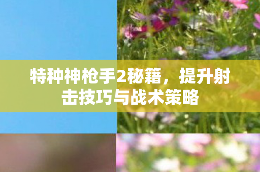 特种神枪手2秘籍，提升射击技巧与战术策略