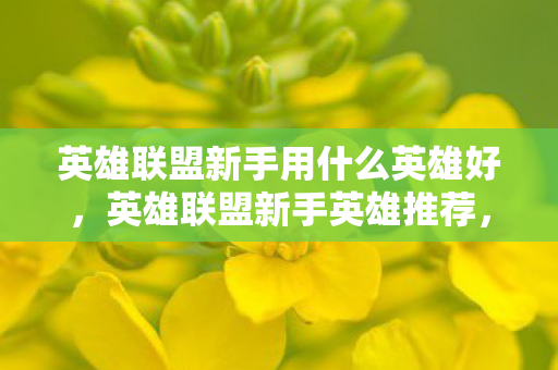 英雄联盟新手用什么英雄好,英雄联盟新手英雄推荐,掌握这些角色,轻松上手 英雄联盟新手用什么英雄好,英雄联盟新手英雄推荐,掌握这些角色,轻松上手