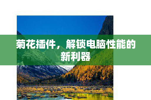 菊花插件，解锁电脑性能的新利器