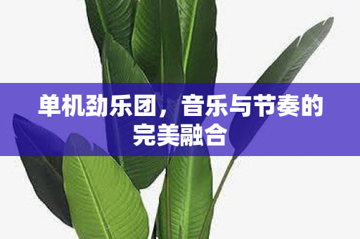 单机劲乐团，音乐与节奏的完美融合