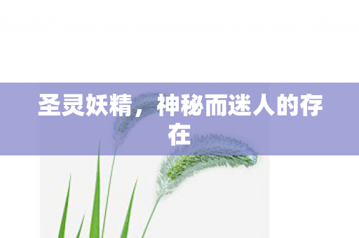 圣灵妖精，神秘而迷人的存在