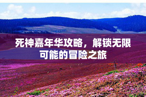 死神嘉年华攻略，解锁无限可能的冒险之旅