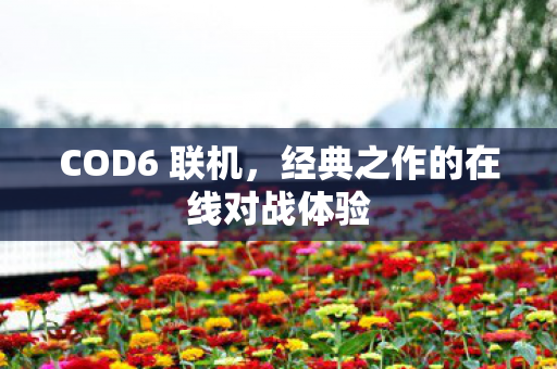 COD6 联机，经典之作的在线对战体验