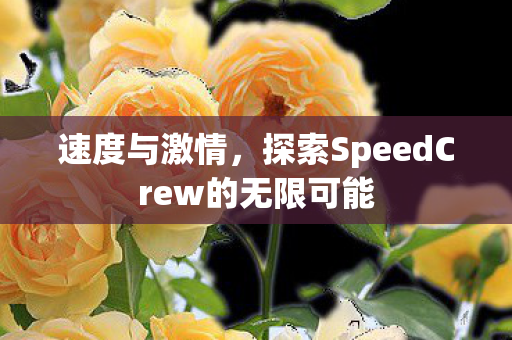 速度与激情，探索SpeedCrew的无限可能