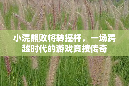 小浣熊败将转摇杆，一场跨越时代的游戏竞技传奇