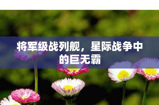 星际战争中的巨无霸图片