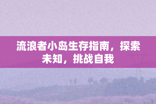 流浪者小岛生存指南，探索未知，挑战自我