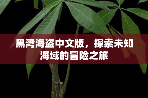 探索未知海域的冒险之旅图片