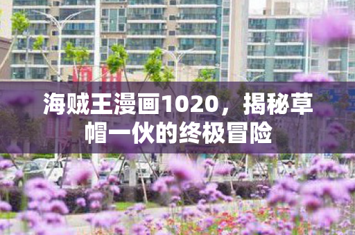 海贼王漫画1020，揭秘草帽一伙的终极冒险