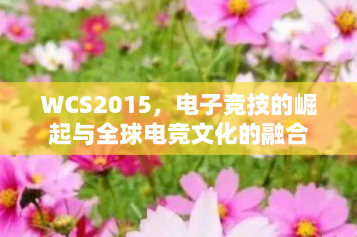 WCS2015，电子竞技的崛起与全球电竞文化的融合