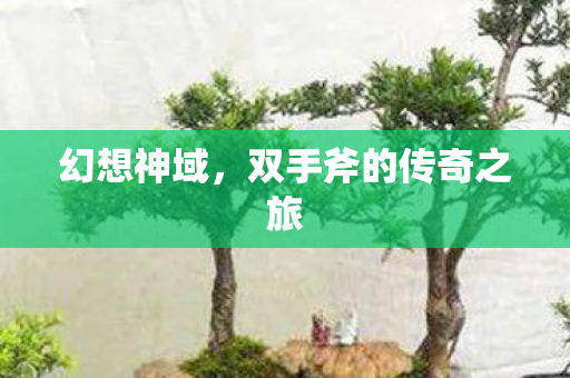 幻想神域，双手斧的传奇之旅