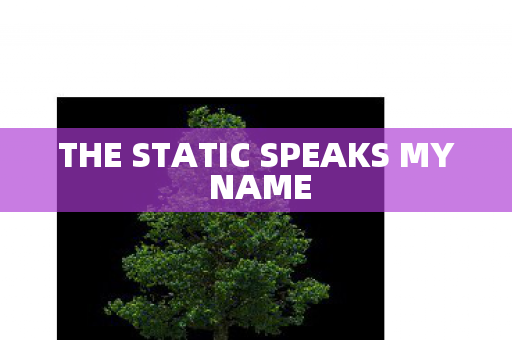 THE STATIC SPEAKS MY NAME