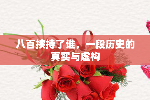 一段历史的真实与虚构图片