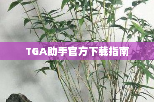 TGA助手官方下载指南