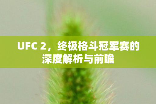 UFC 2，终极格斗冠军赛的深度解析与前瞻