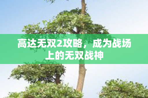 高达无双2攻略，成为战场上的无双战神